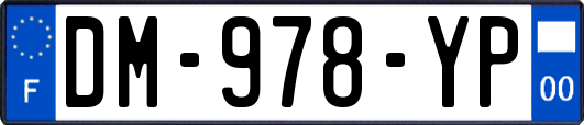 DM-978-YP