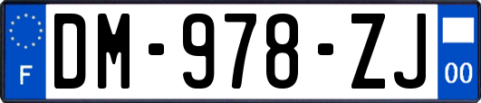 DM-978-ZJ