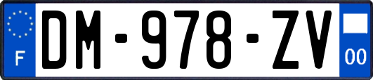 DM-978-ZV