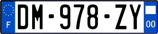 DM-978-ZY