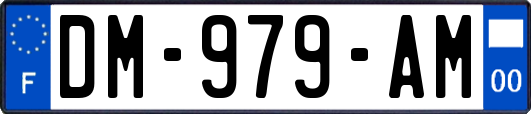 DM-979-AM