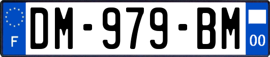 DM-979-BM