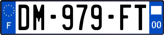 DM-979-FT