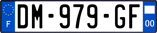 DM-979-GF