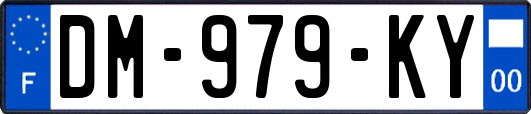 DM-979-KY