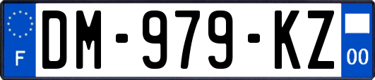 DM-979-KZ