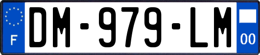 DM-979-LM