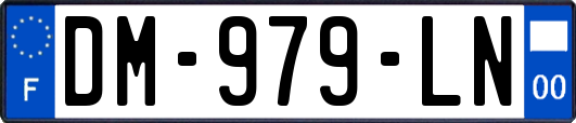 DM-979-LN