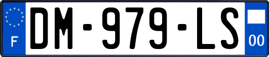 DM-979-LS