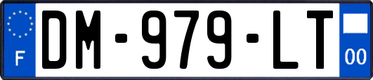 DM-979-LT