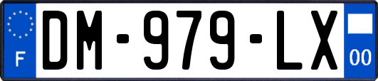 DM-979-LX