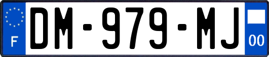 DM-979-MJ