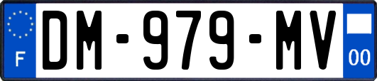 DM-979-MV