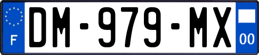 DM-979-MX