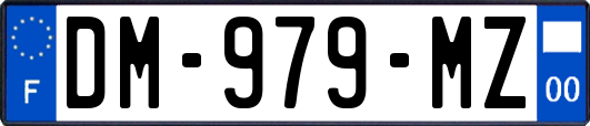 DM-979-MZ