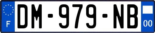DM-979-NB