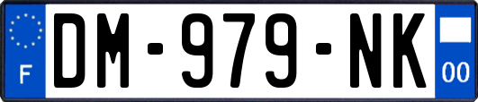 DM-979-NK