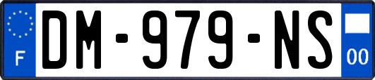 DM-979-NS
