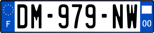 DM-979-NW