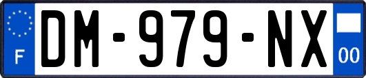 DM-979-NX