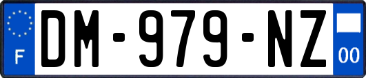 DM-979-NZ