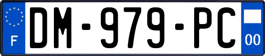 DM-979-PC