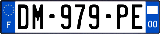 DM-979-PE
