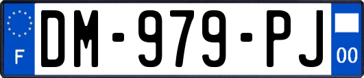 DM-979-PJ