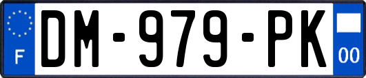 DM-979-PK