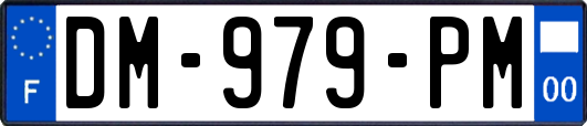 DM-979-PM