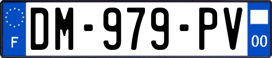 DM-979-PV