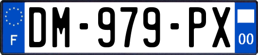 DM-979-PX
