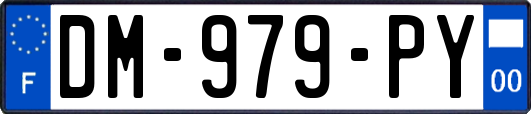 DM-979-PY
