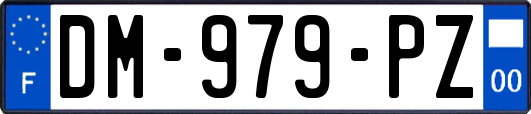 DM-979-PZ