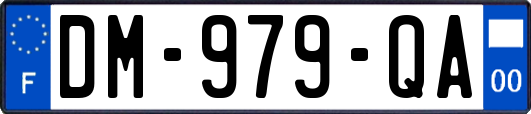 DM-979-QA