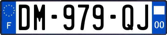 DM-979-QJ