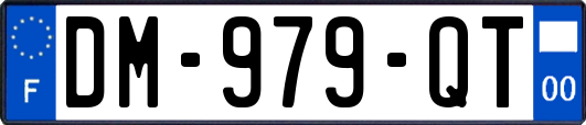 DM-979-QT