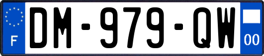 DM-979-QW
