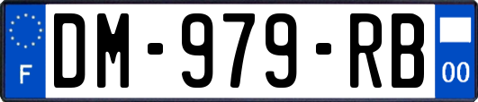 DM-979-RB