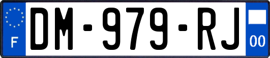 DM-979-RJ