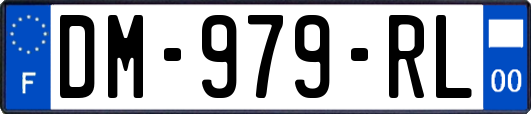 DM-979-RL