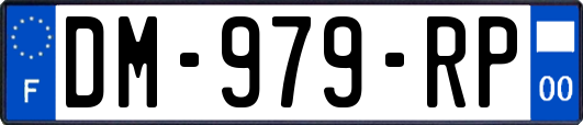 DM-979-RP