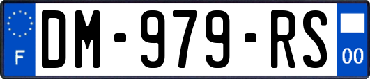 DM-979-RS