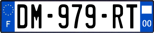DM-979-RT