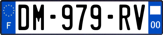 DM-979-RV