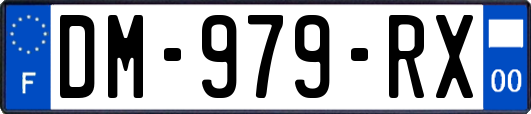 DM-979-RX