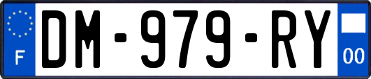 DM-979-RY