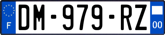 DM-979-RZ