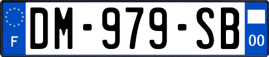 DM-979-SB