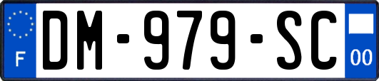 DM-979-SC